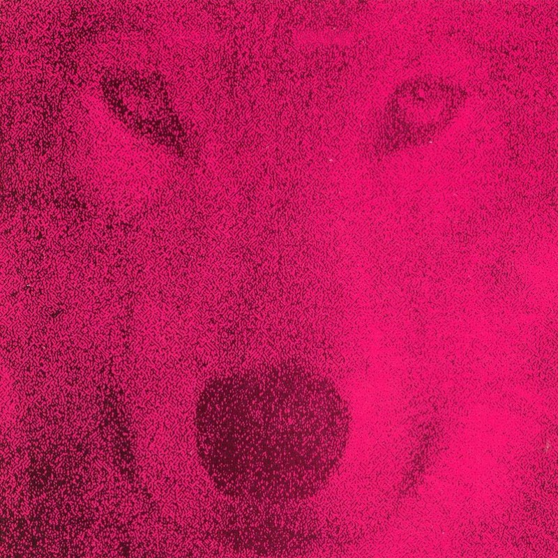 Album cover: Album cover artwork