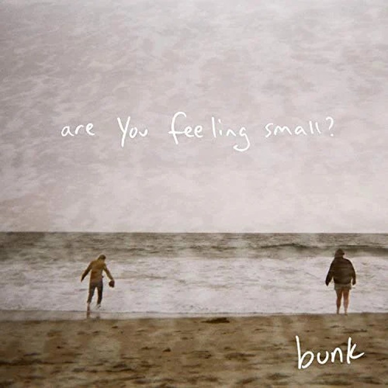 Album cover: bunk – are you feeling small?